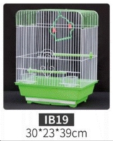 IB19